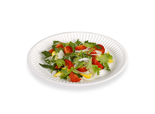 Assiette en carton blanc 18 cm x 100pcs