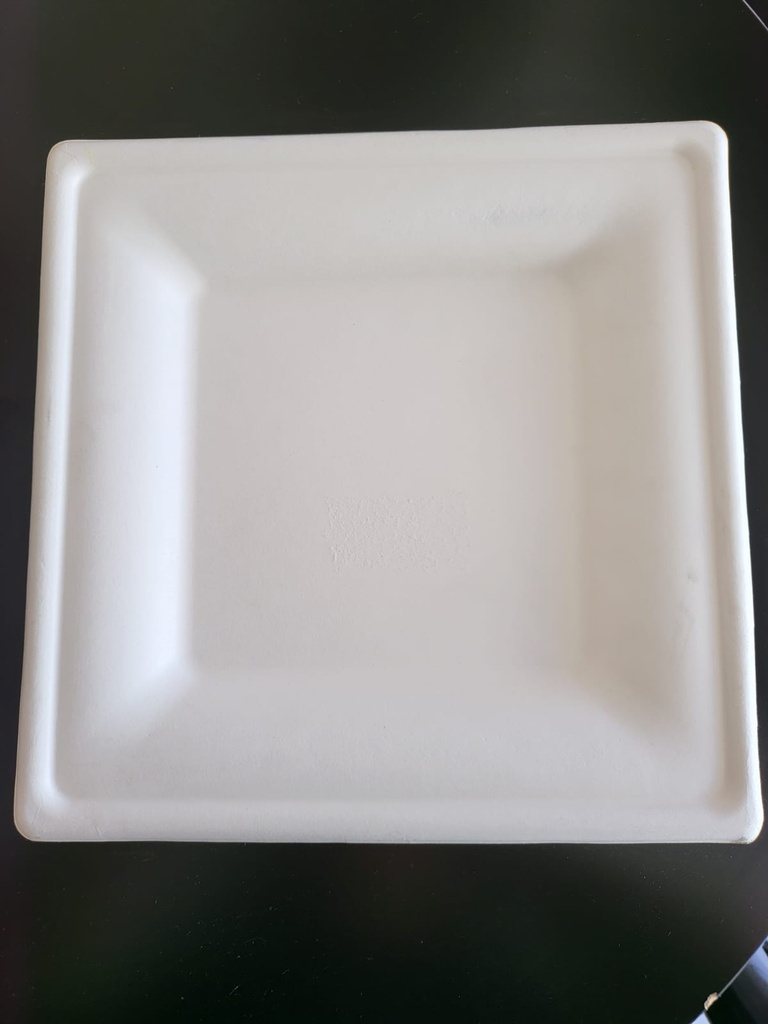 Assiette carrée bagasse 26cm x 50 unités